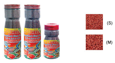 Fish Aquarium